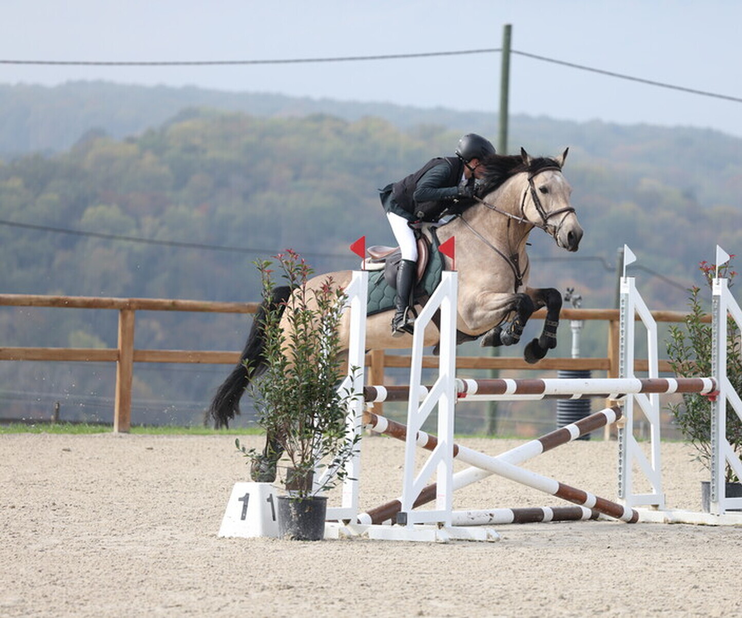 Description de l'image