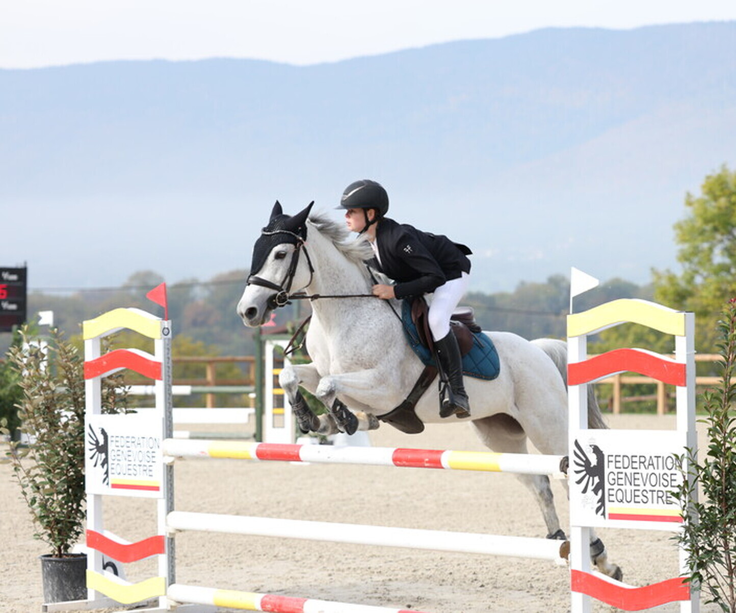 Description de l'image