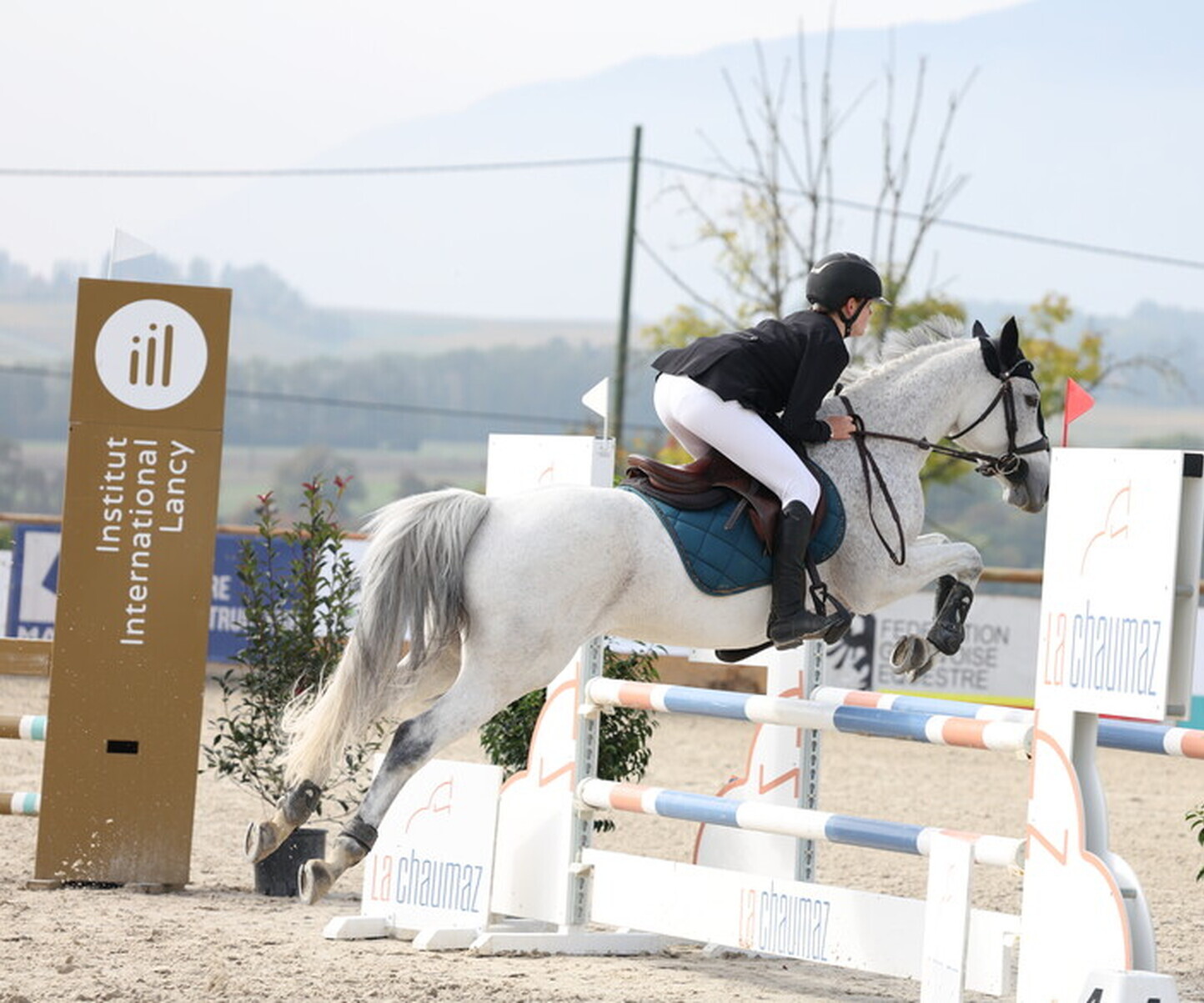 Description de l'image