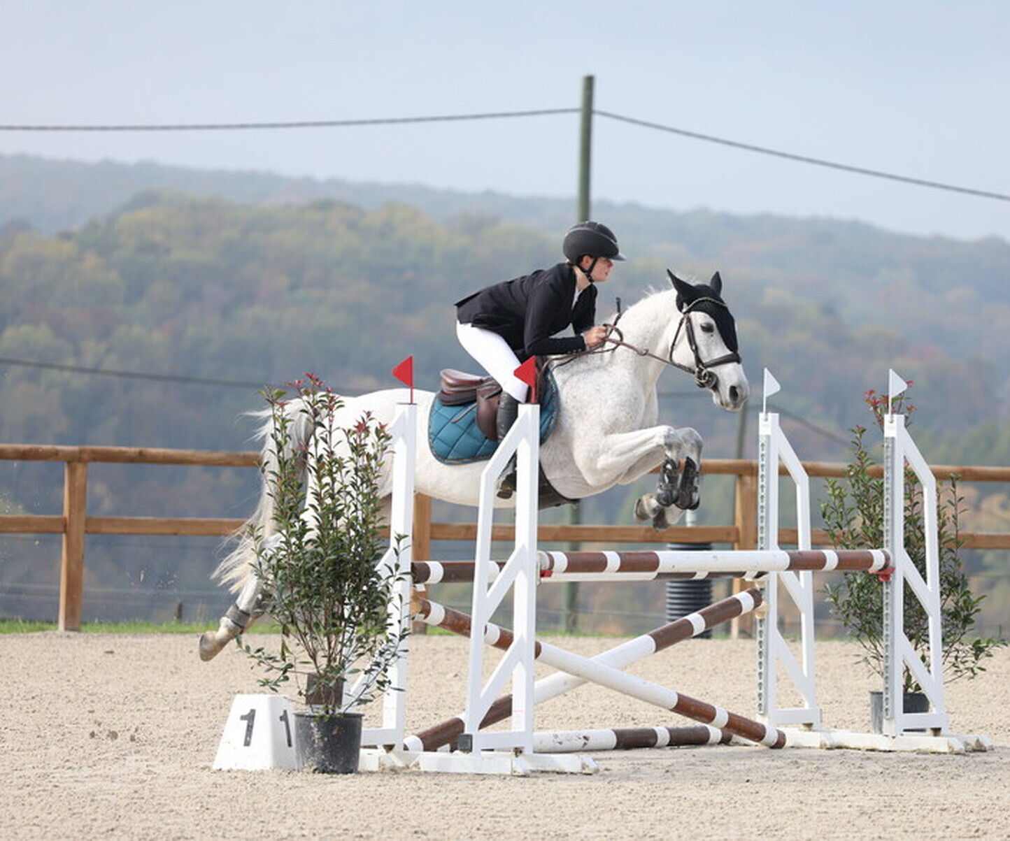 Description de l'image