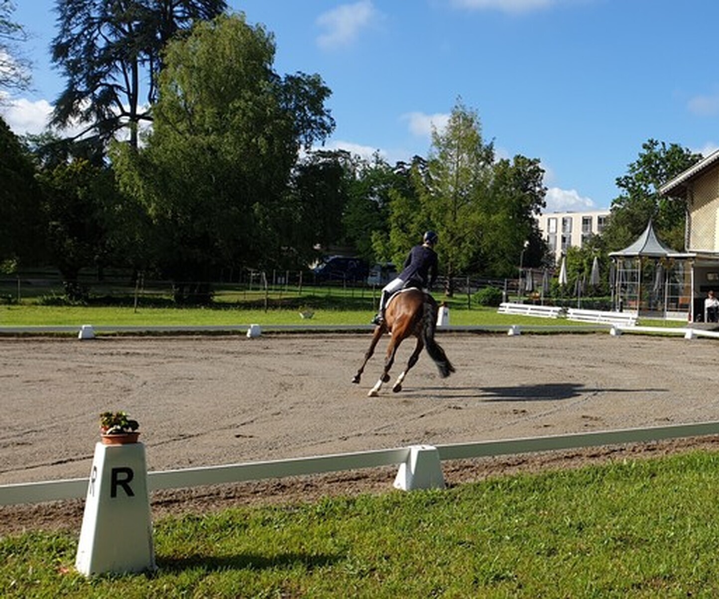 Dressage à Onex