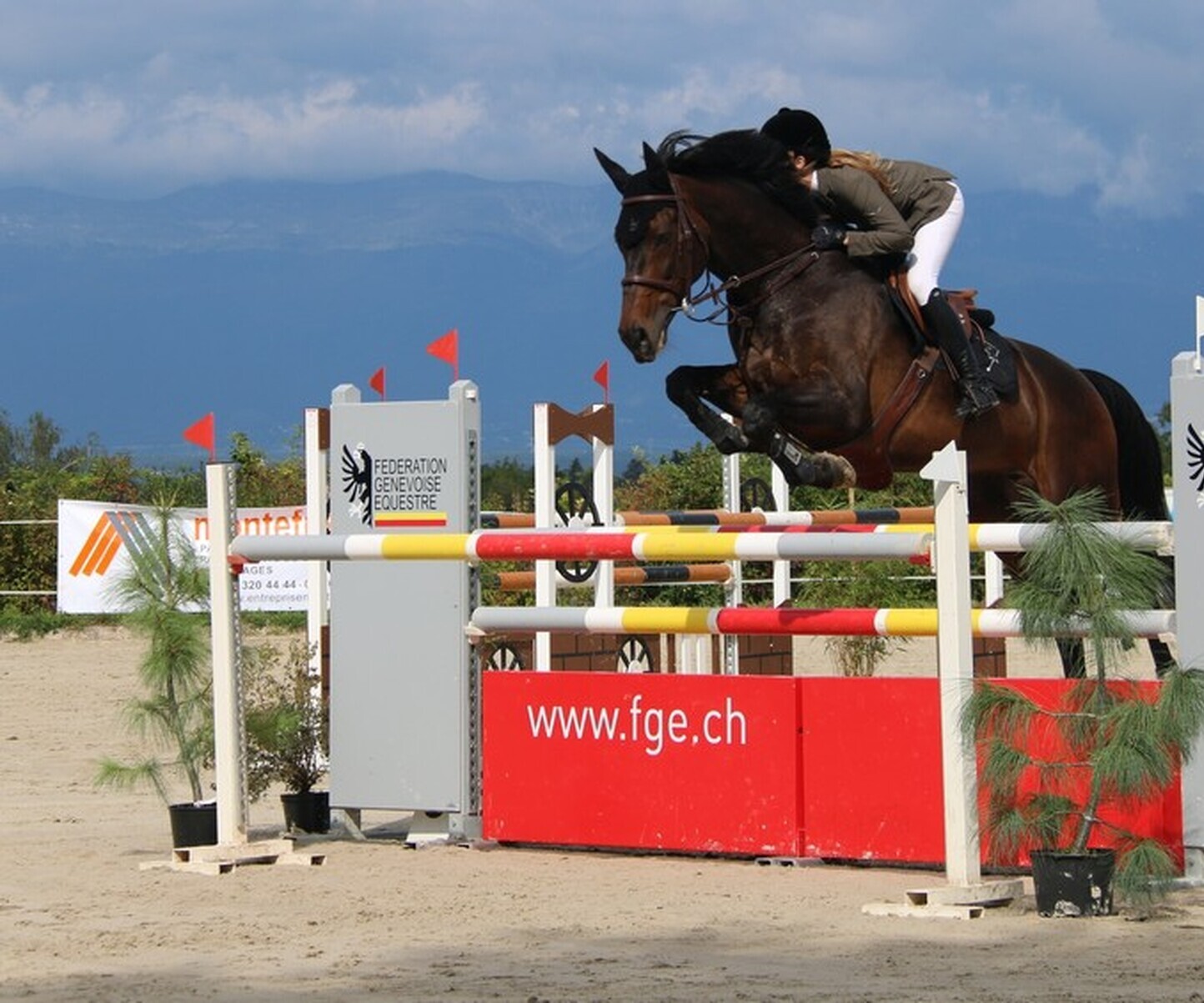 Description de l'image