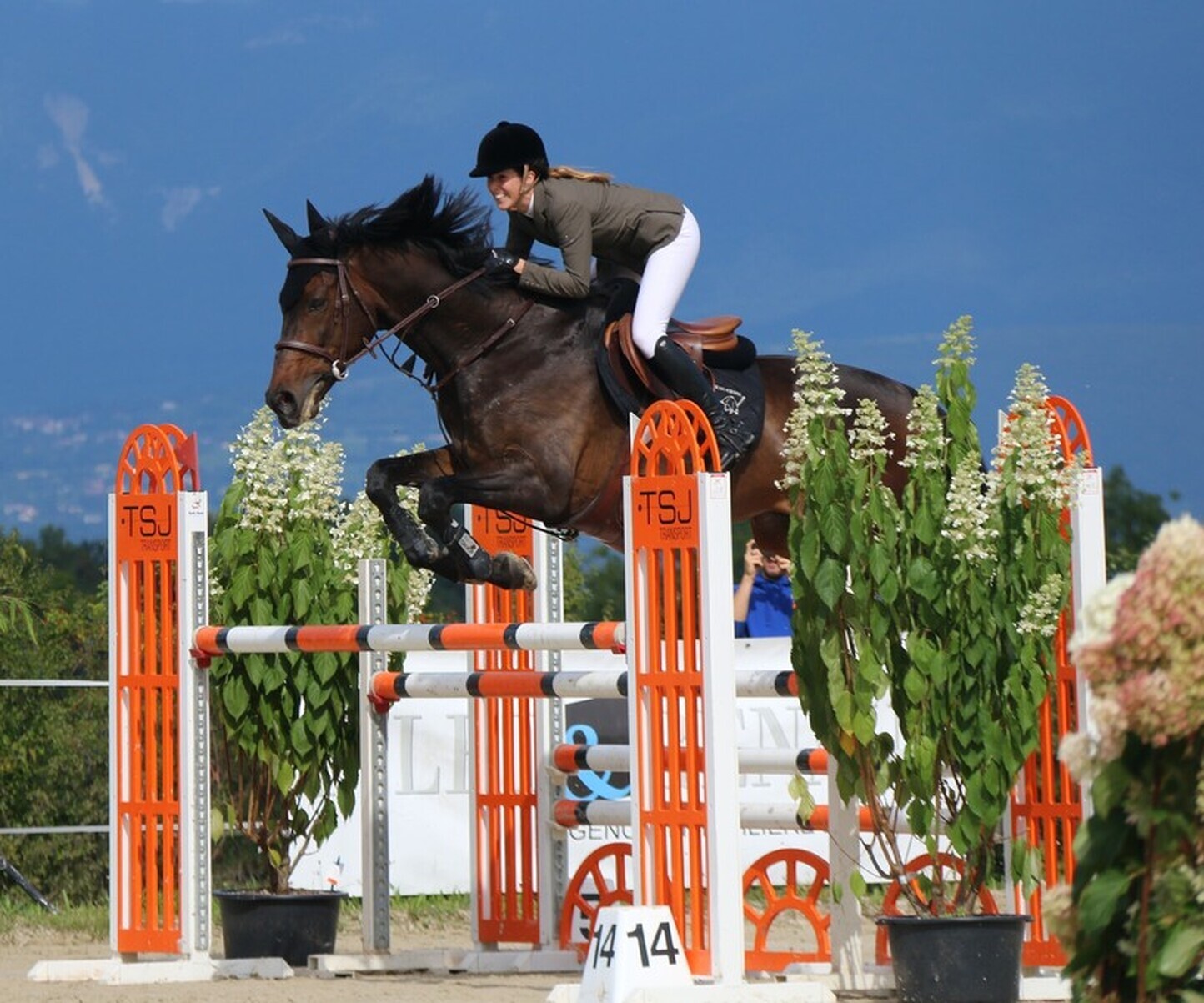 Description de l'image