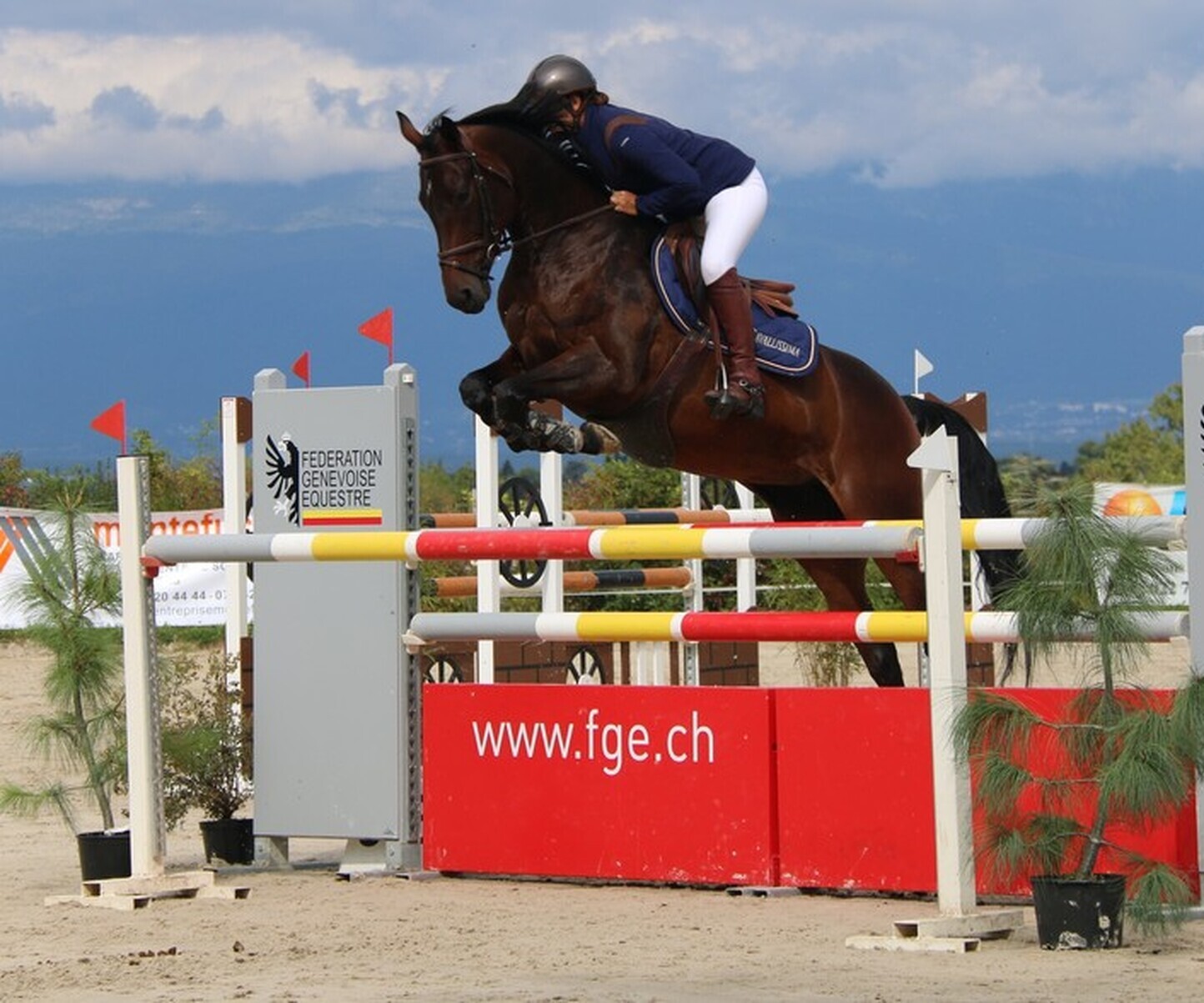 Description de l'image