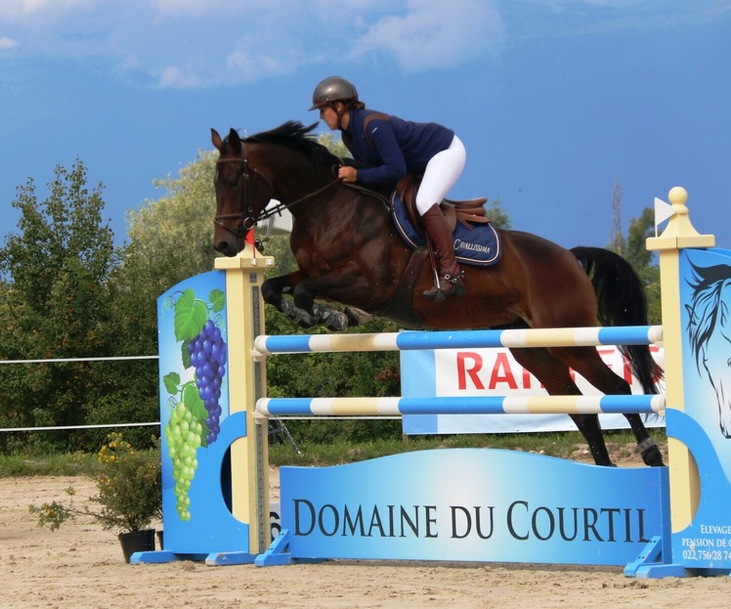 Description de l'image