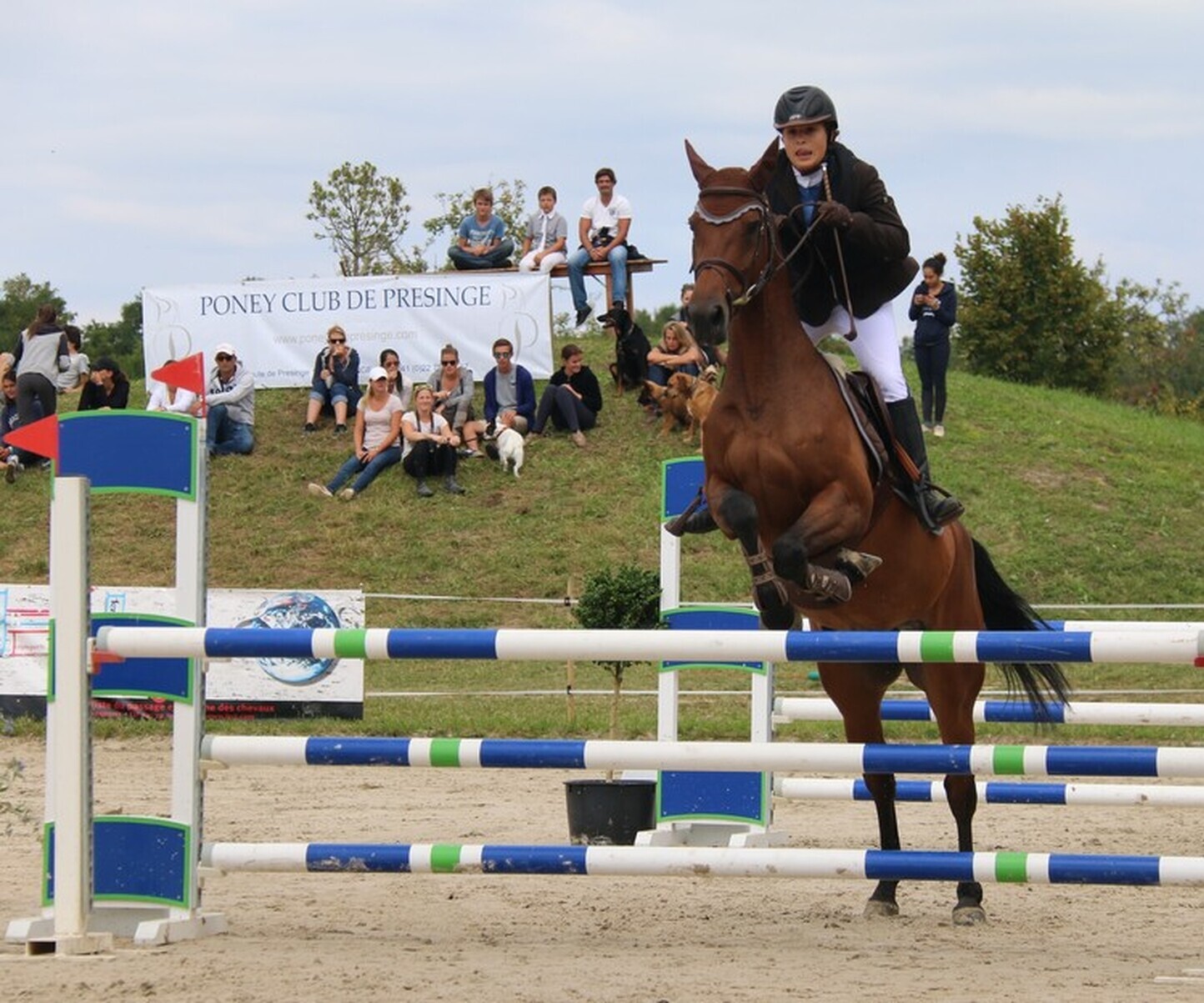 Description de l'image