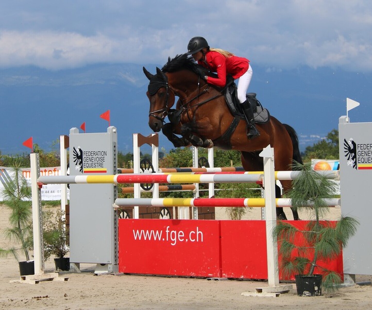 Description de l'image