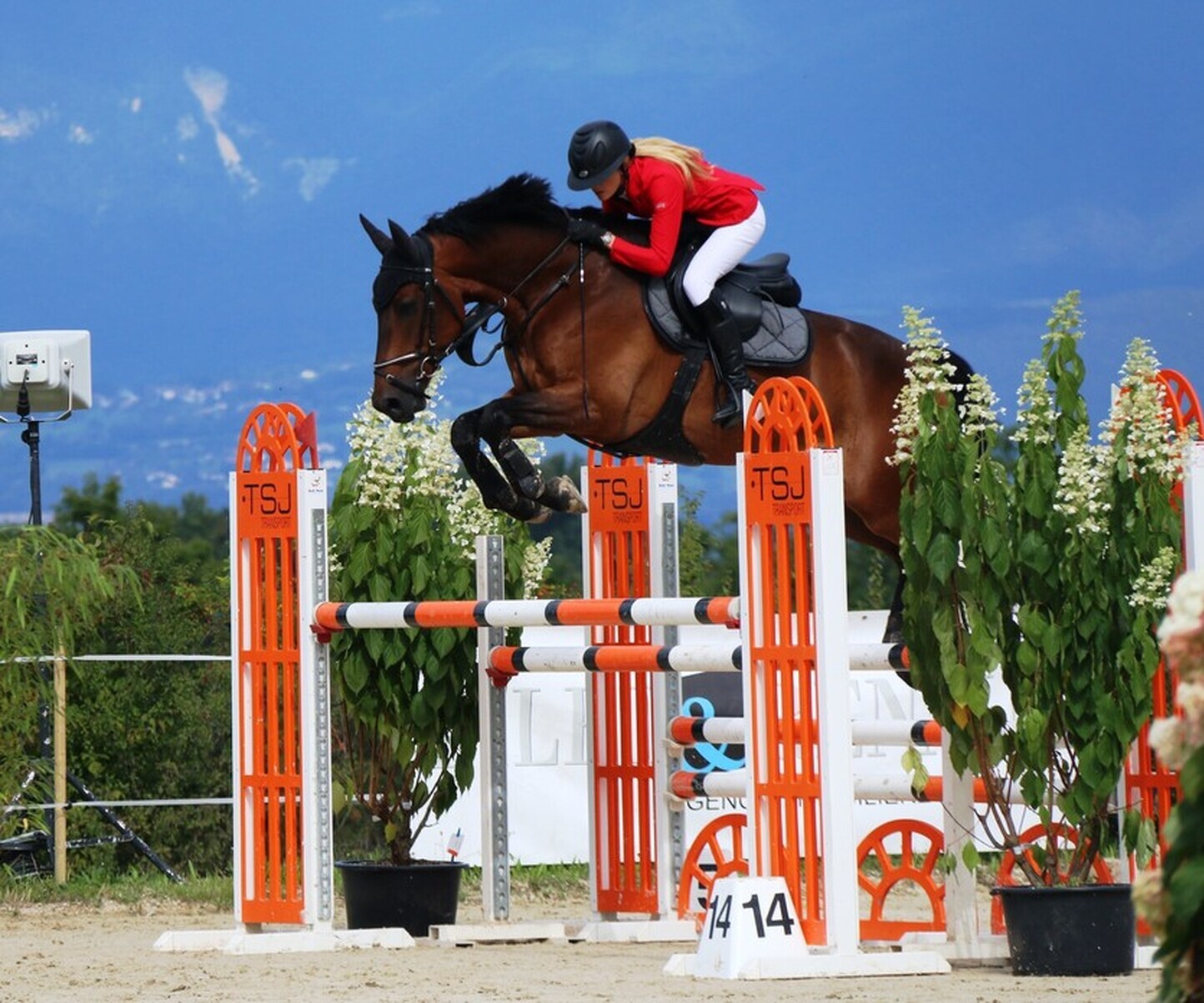 Description de l'image