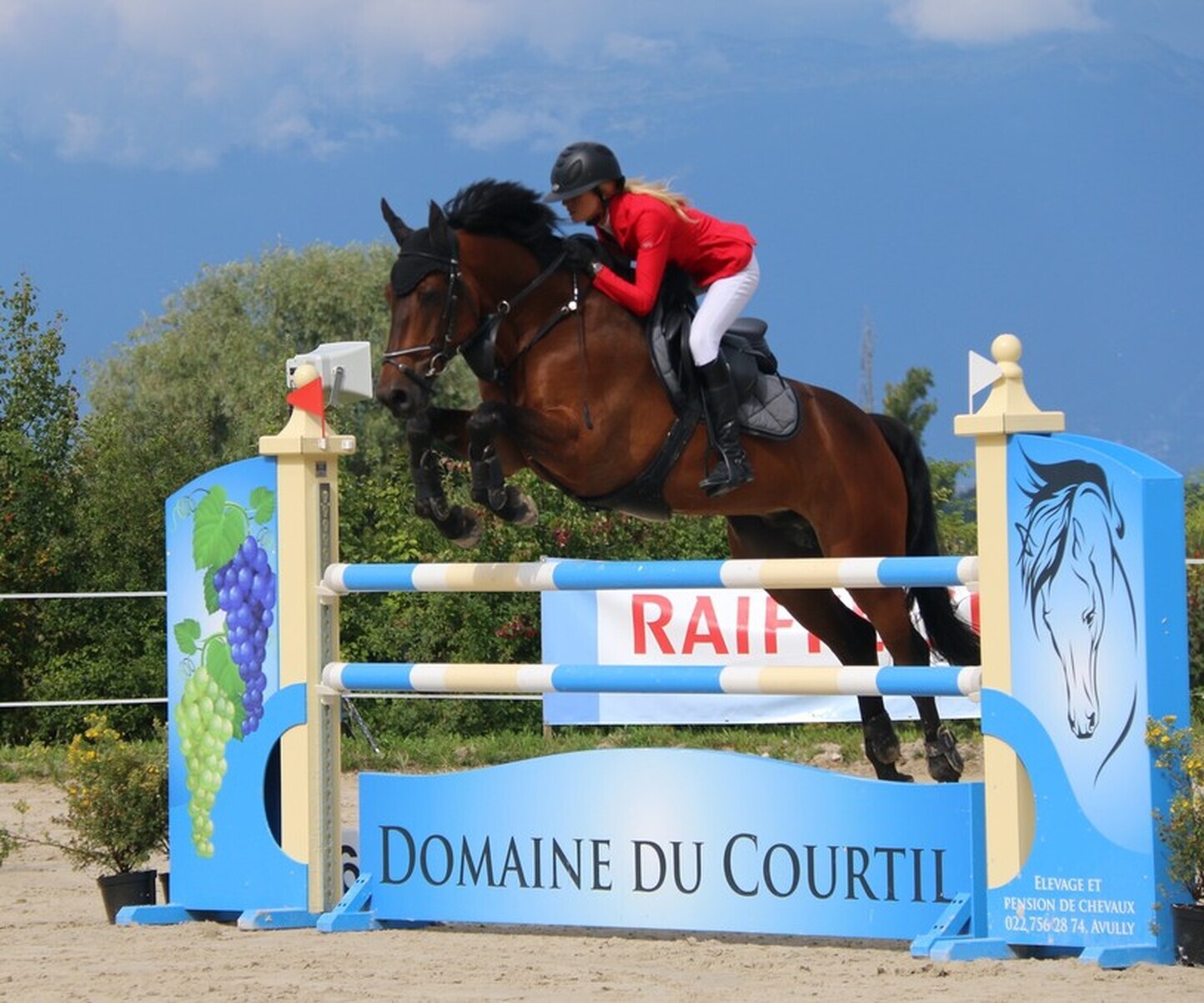 Description de l'image