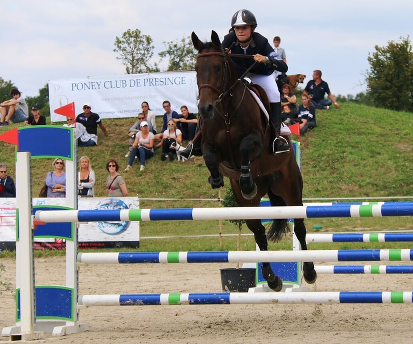 Description de l'image