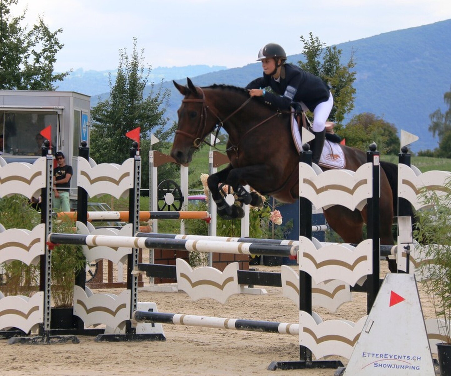 Description de l'image