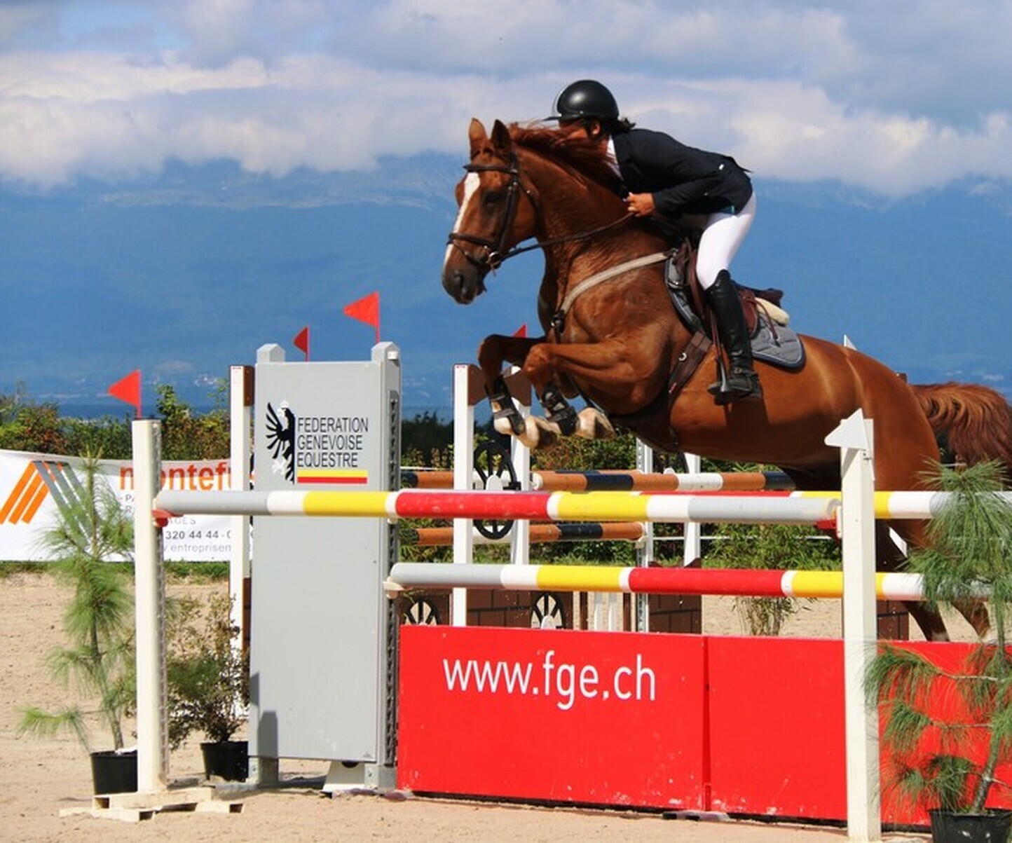 Description de l'image