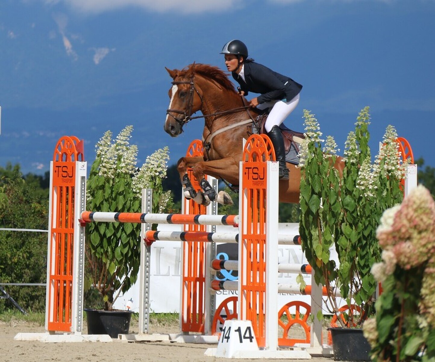 Description de l'image