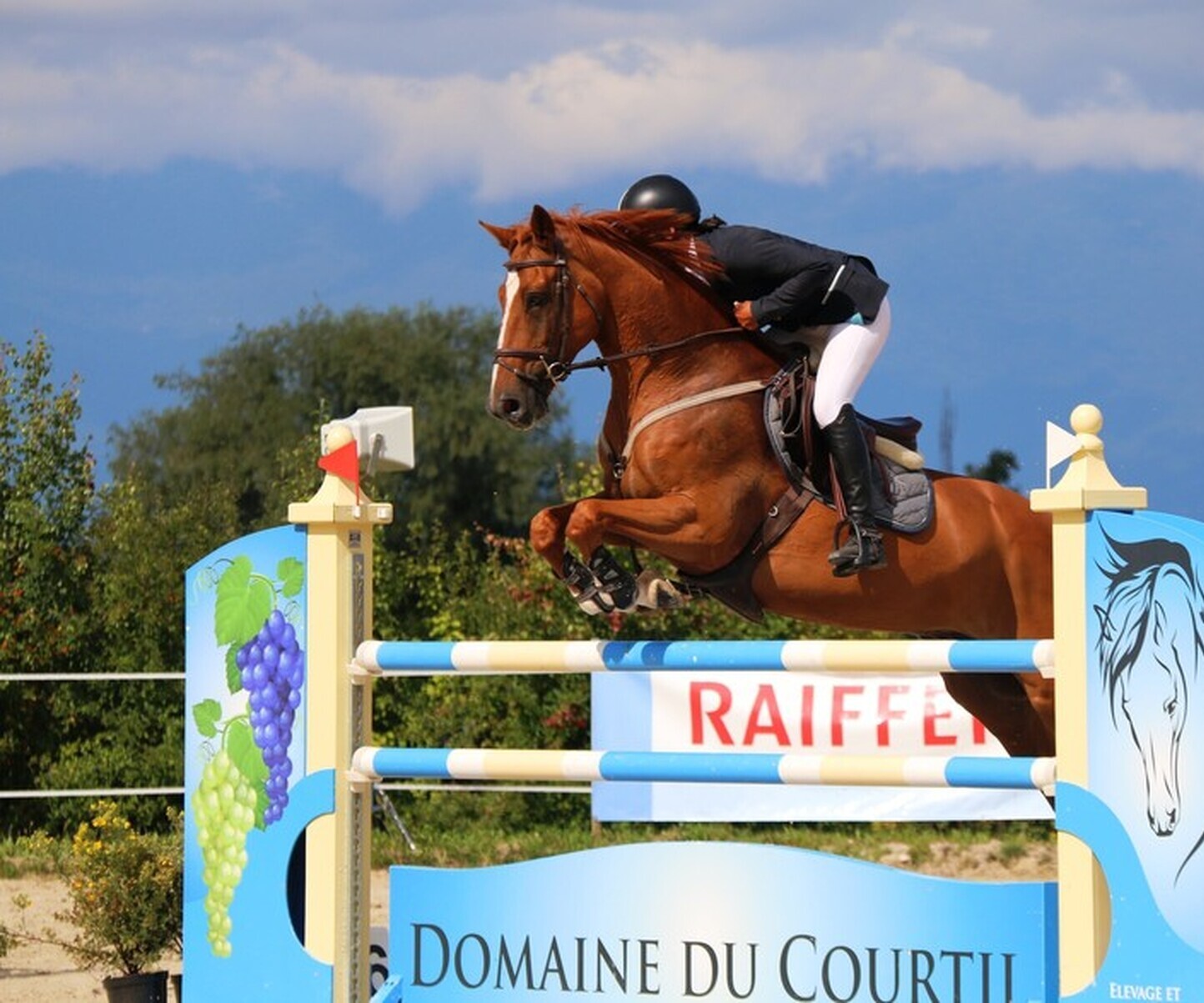 Description de l'image