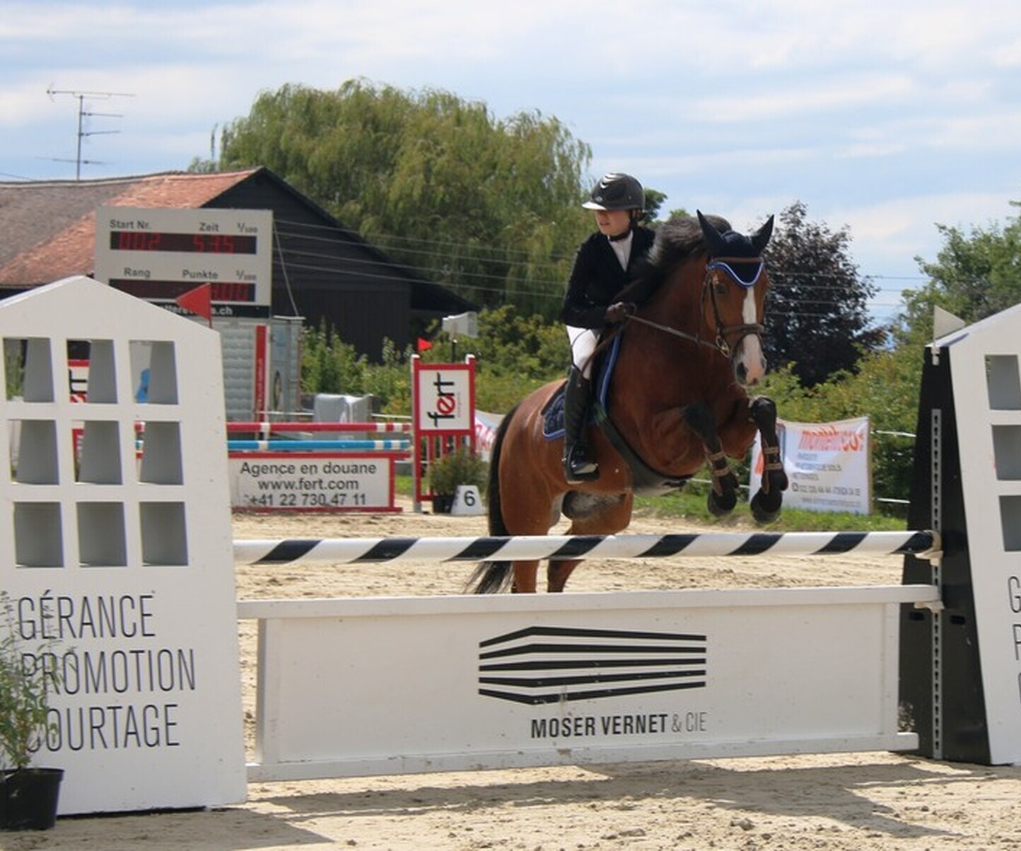 Description de l'image