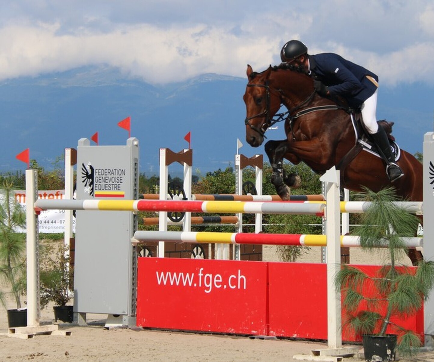 Description de l'image