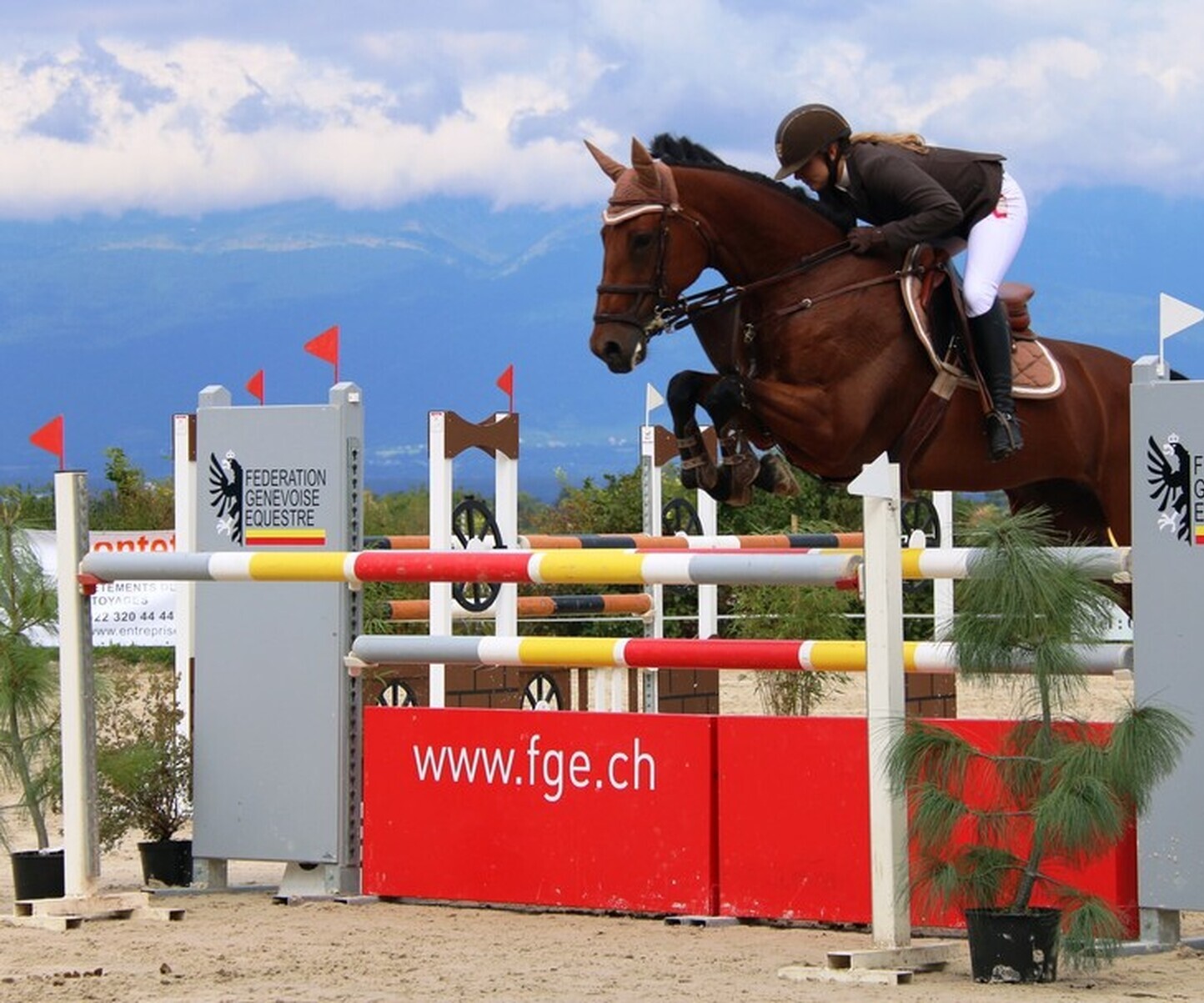 Description de l'image