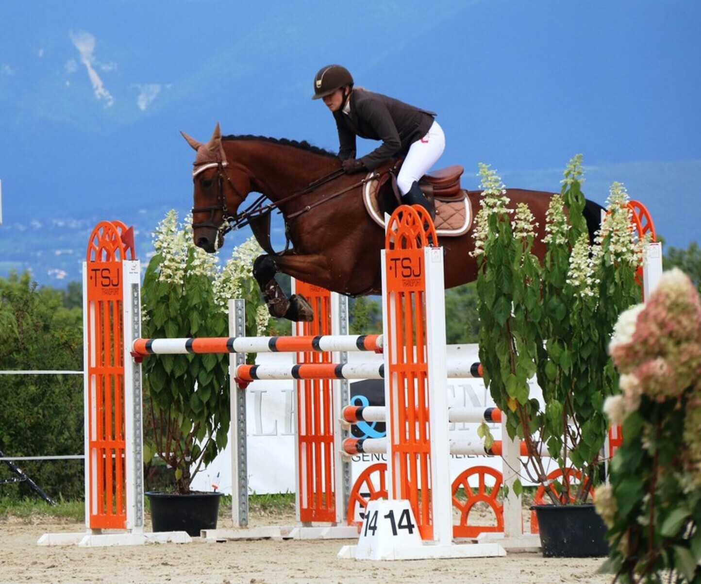 Description de l'image