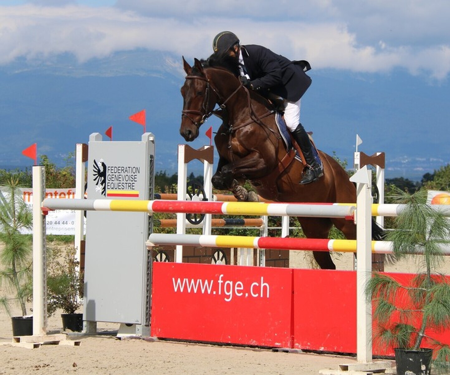 Description de l'image