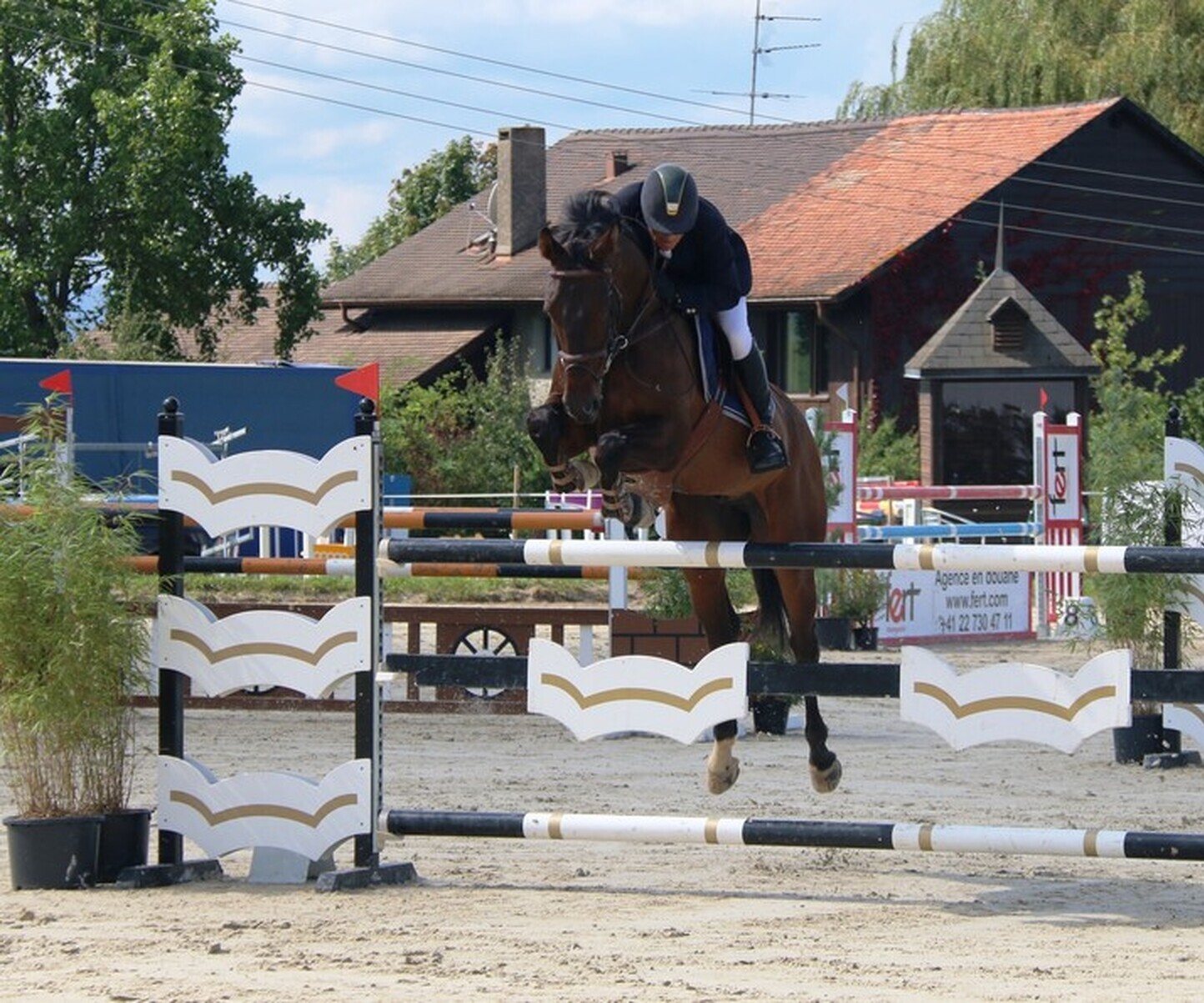 Description de l'image