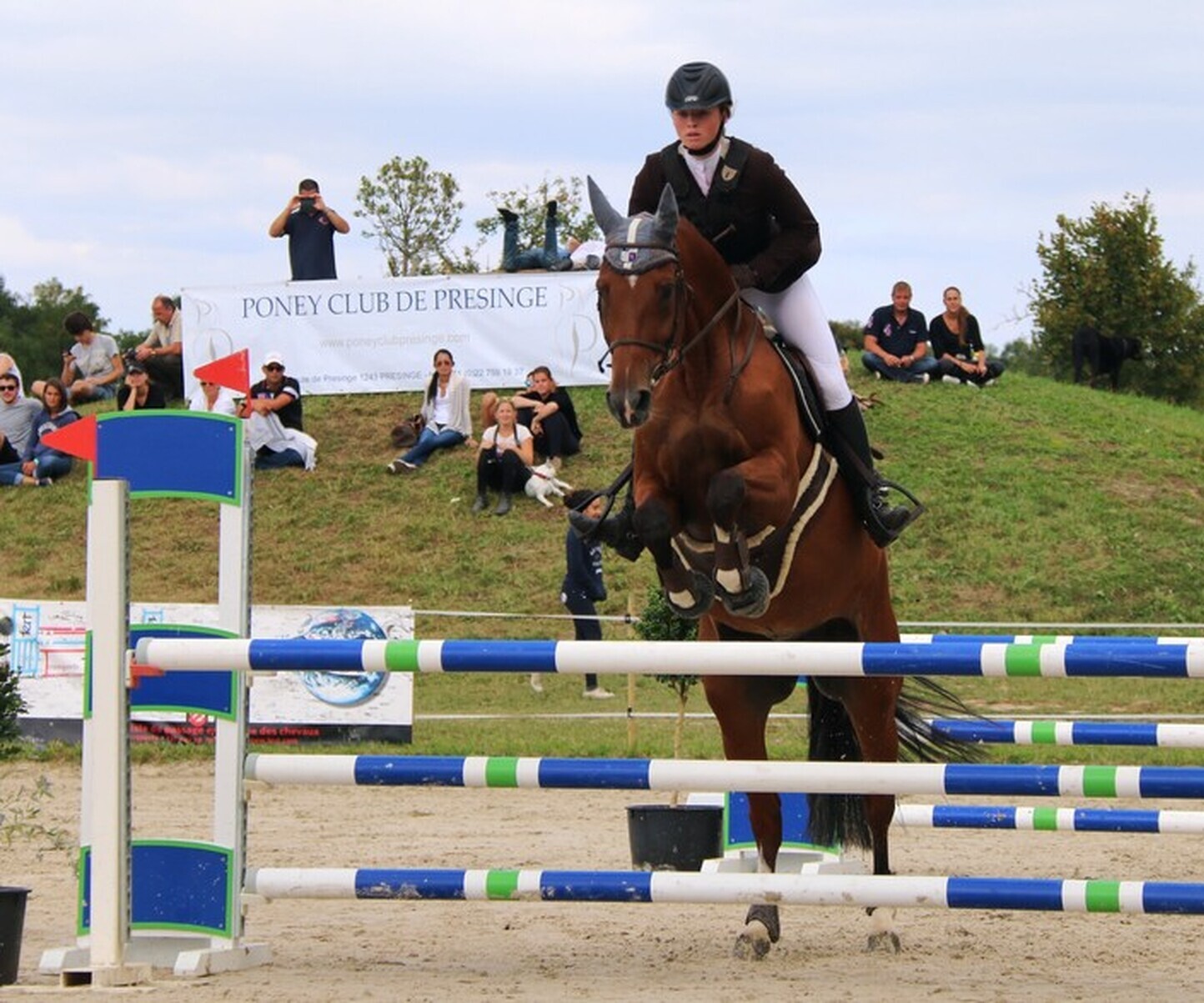 Description de l'image