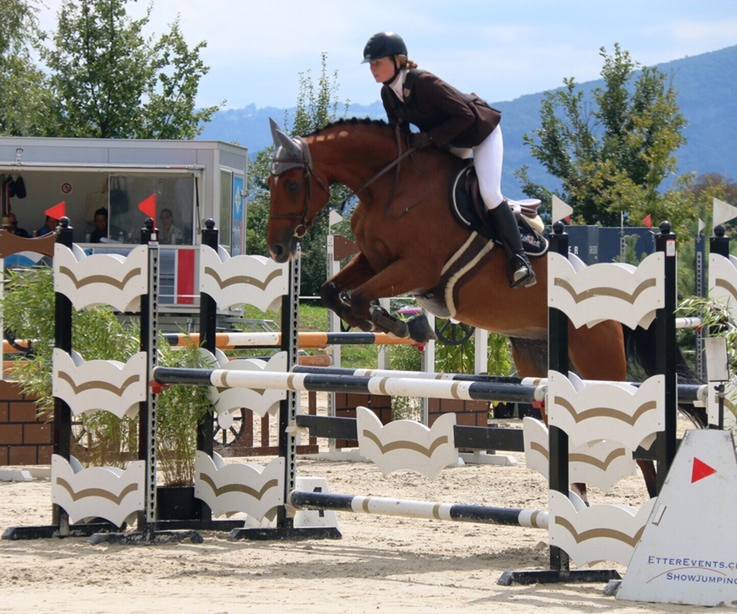 Description de l'image