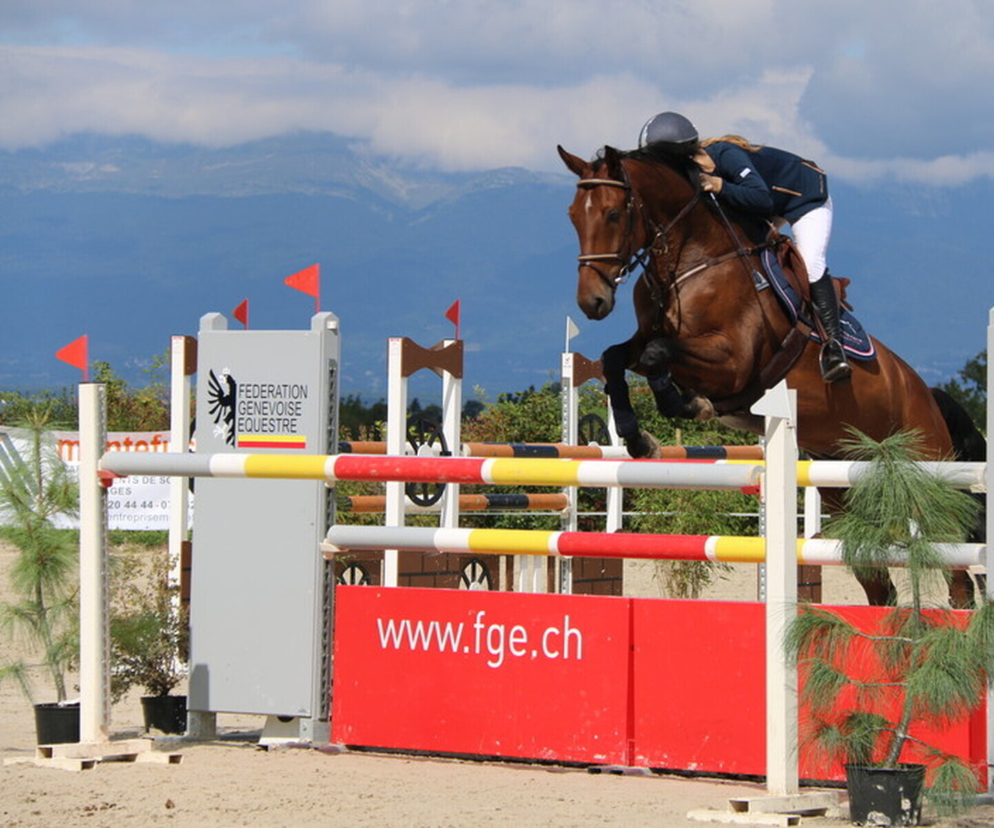 Description de l'image