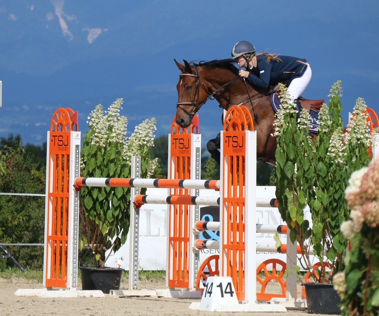 Description de l'image