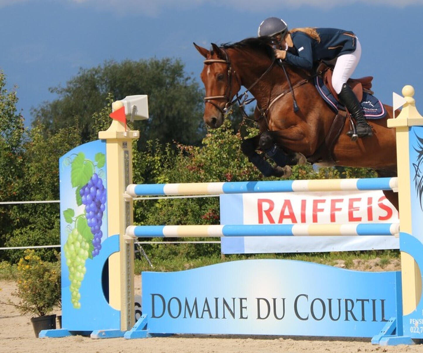 Description de l'image