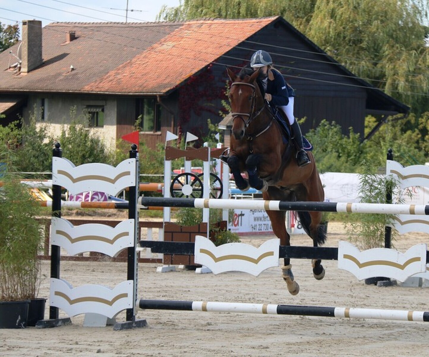 Description de l'image