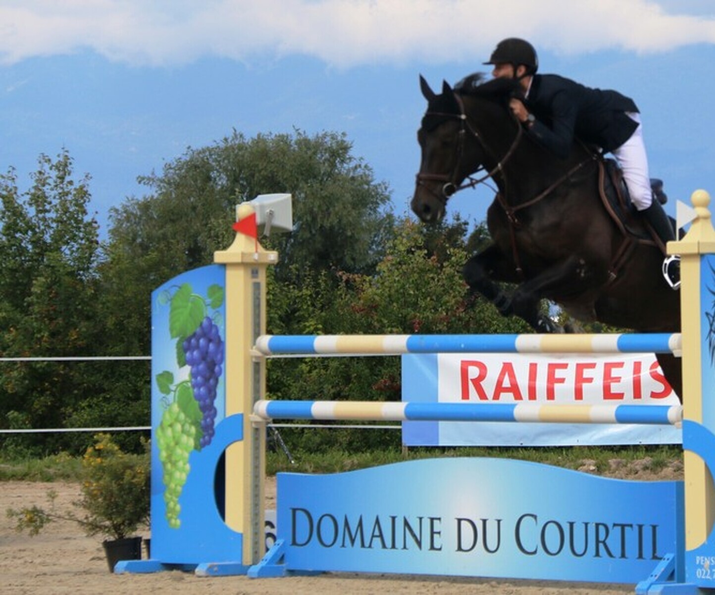 Description de l'image