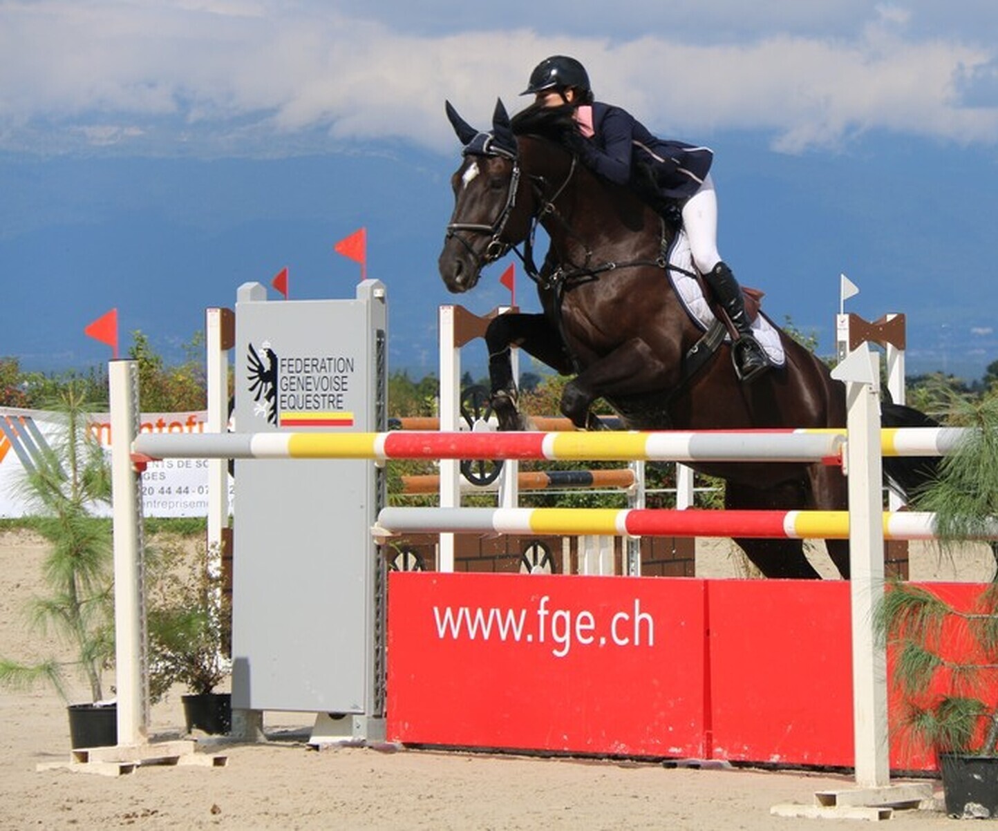 Description de l'image