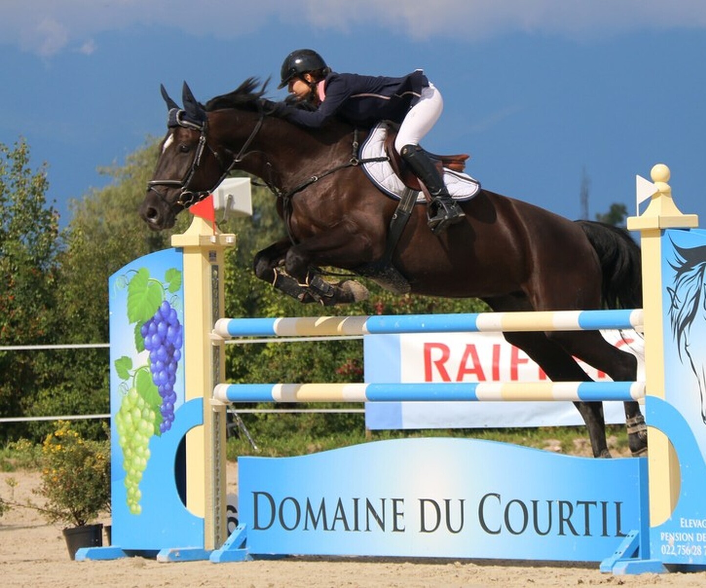 Description de l'image