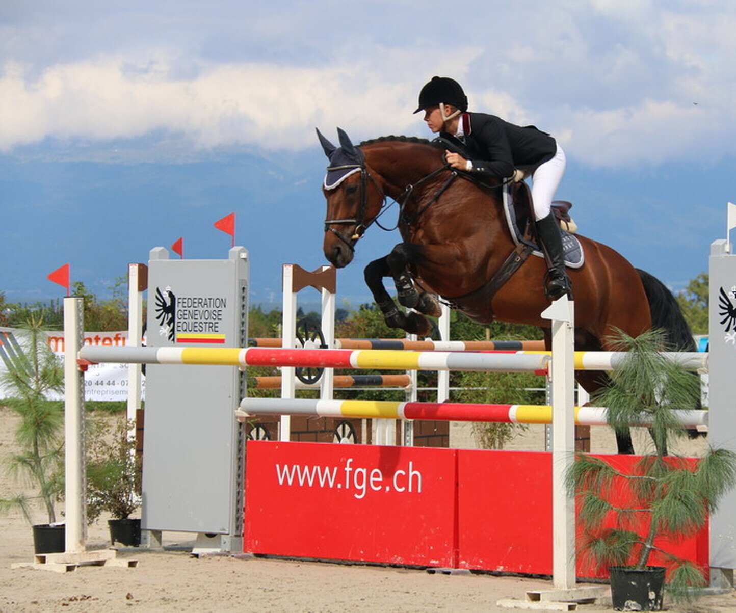 Description de l'image