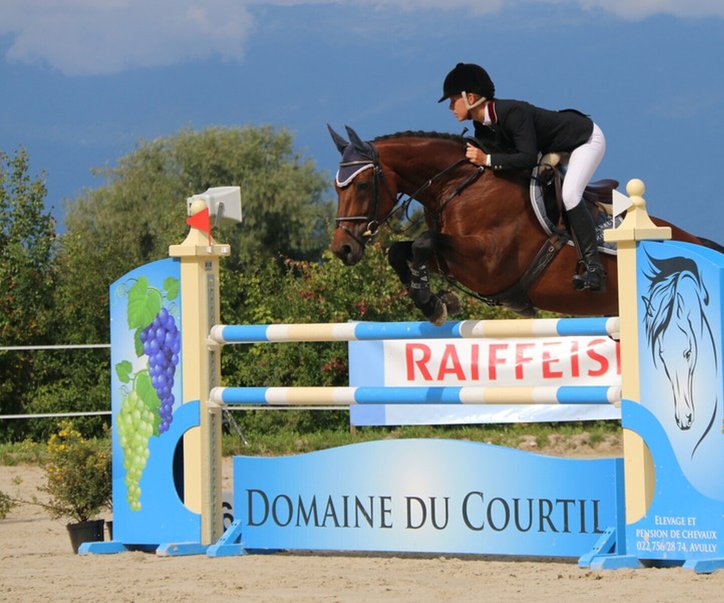 Description de l'image