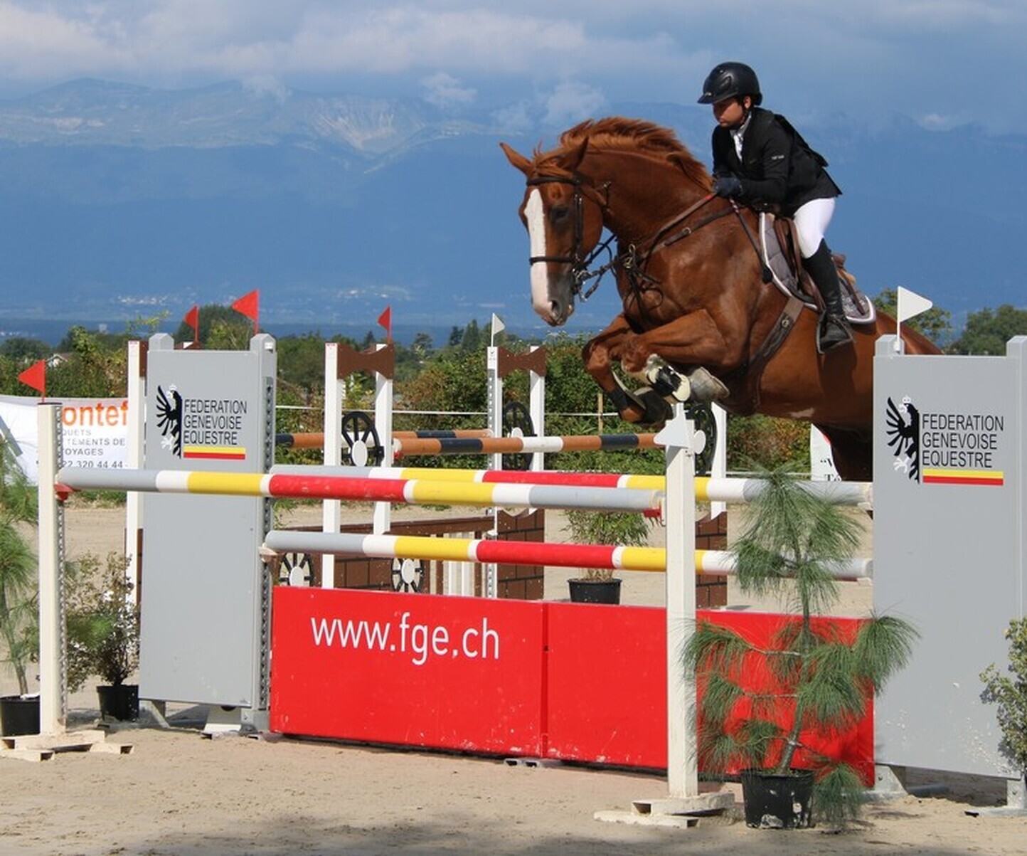 Description de l'image