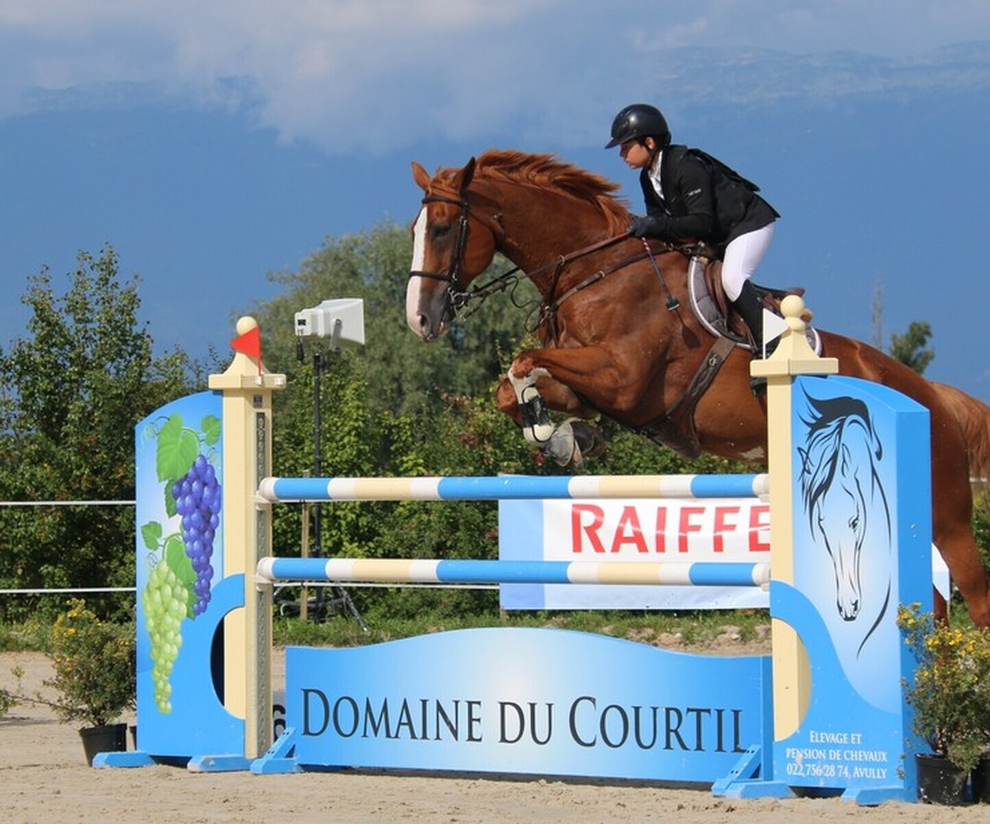 Description de l'image