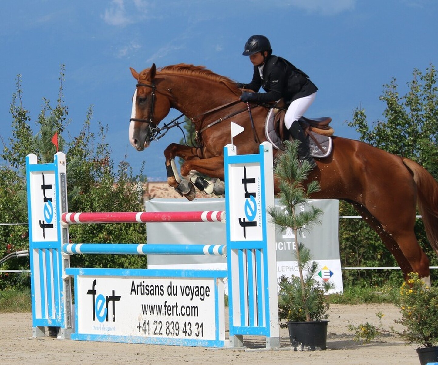 Description de l'image