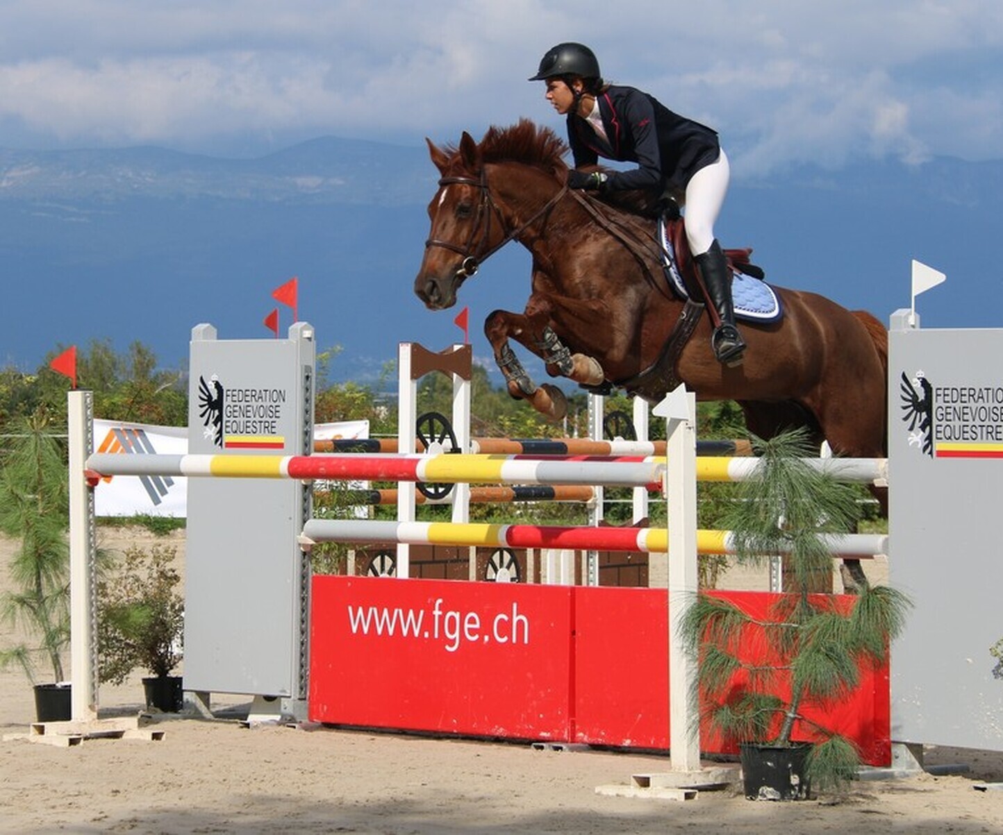 Description de l'image