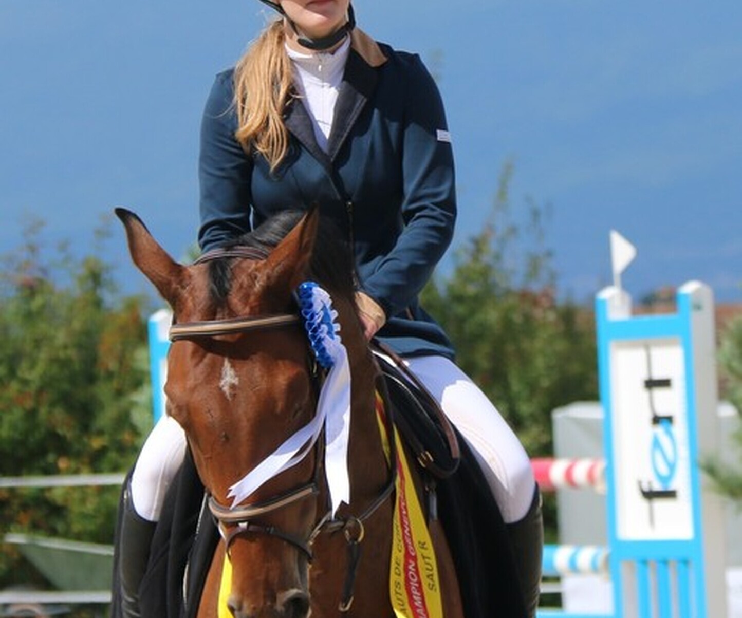 Description de l'image