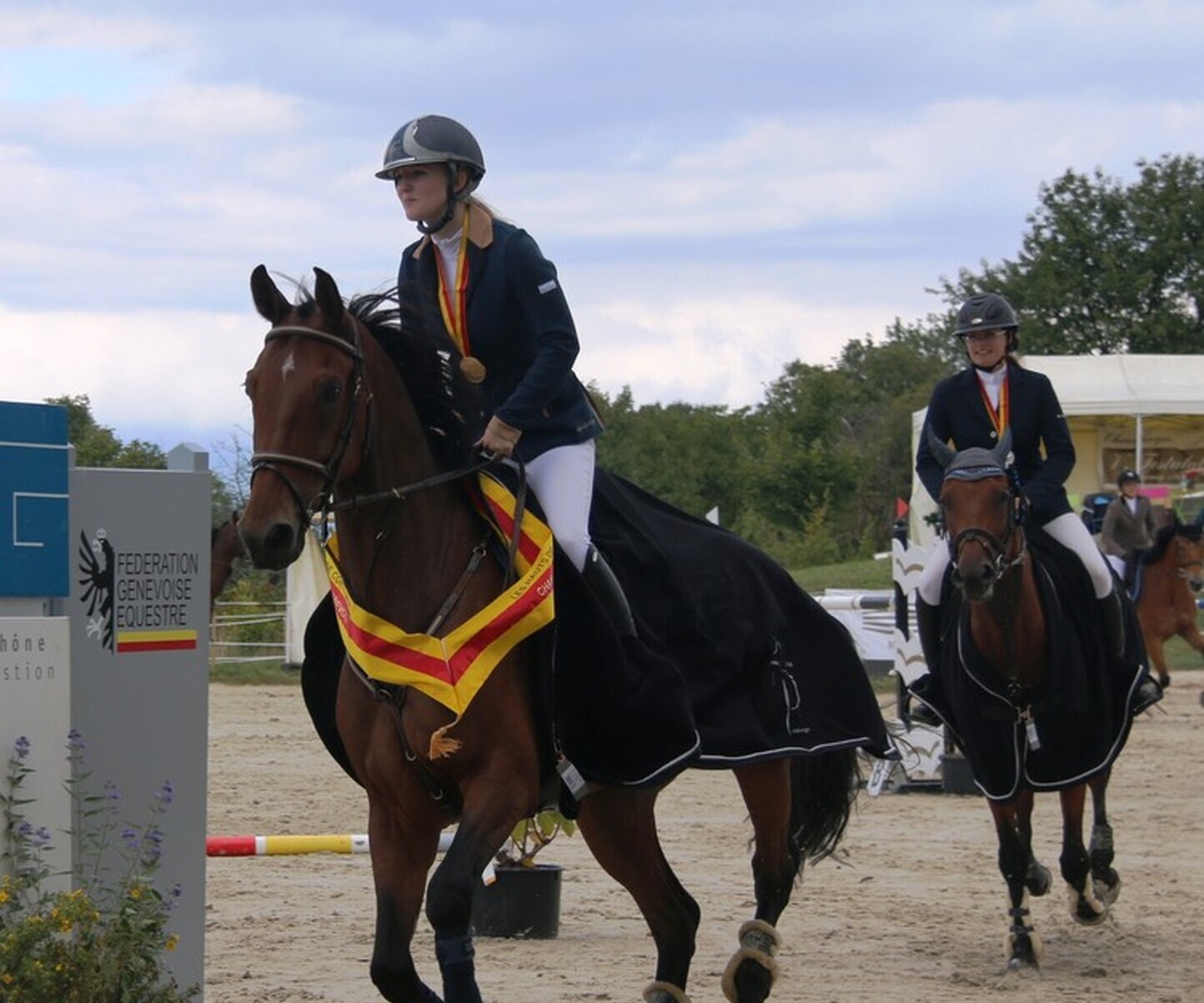 Description de l'image