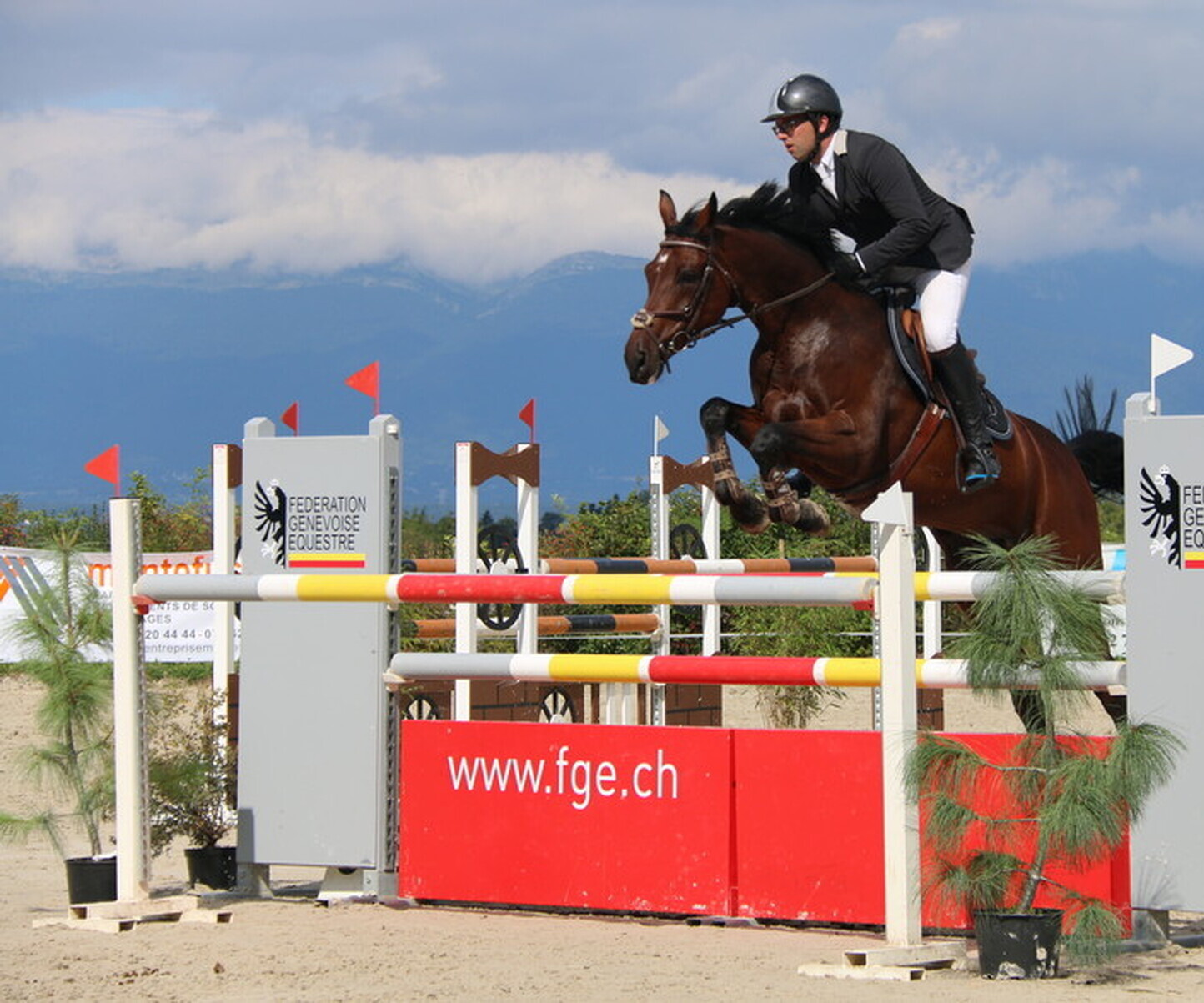 Description de l'image