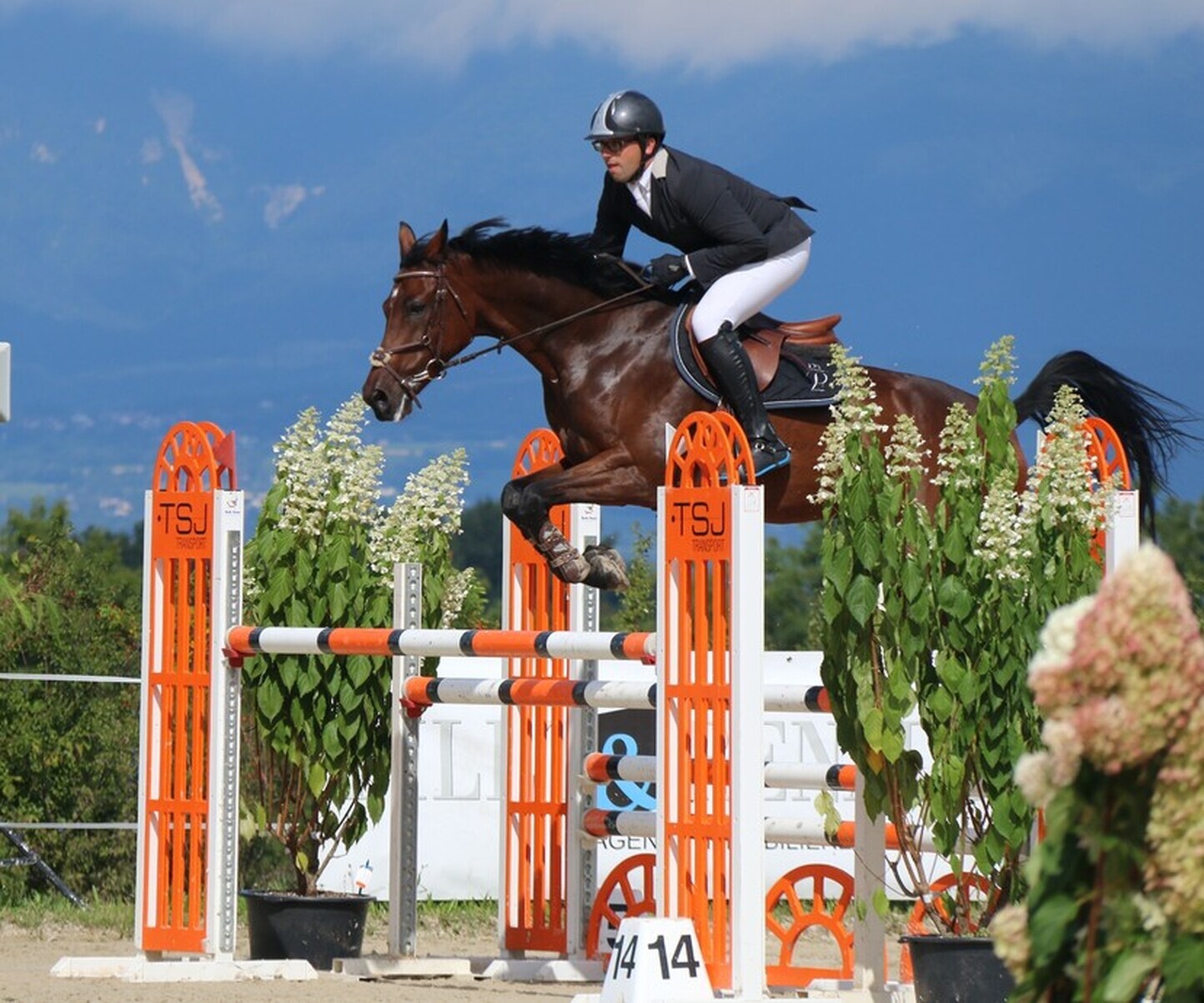 Description de l'image