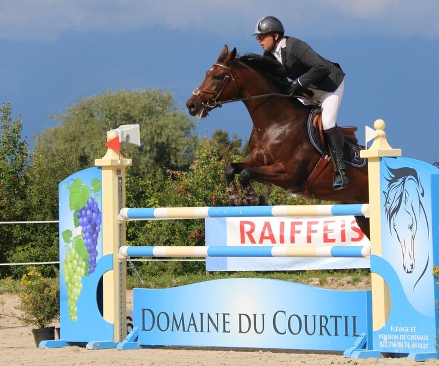 Description de l'image