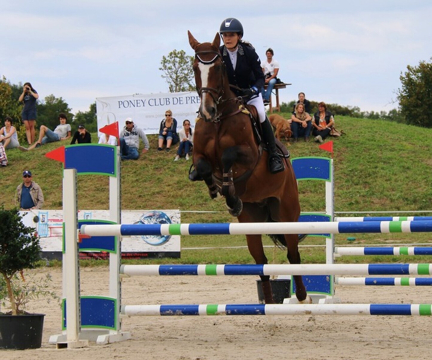 Description de l'image