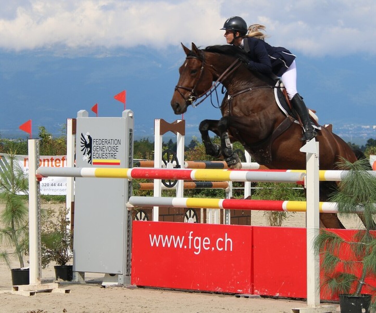 Description de l'image