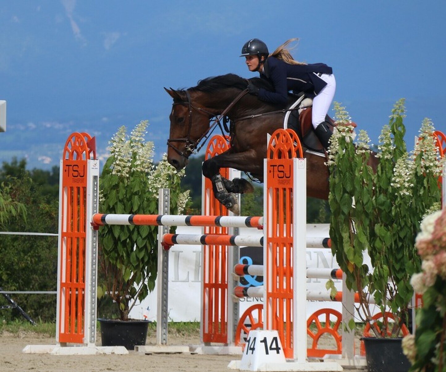 Description de l'image