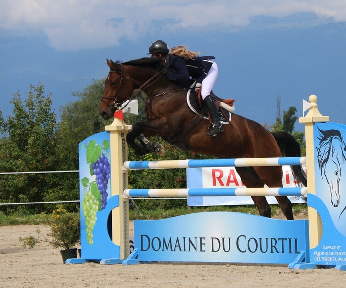 Description de l'image