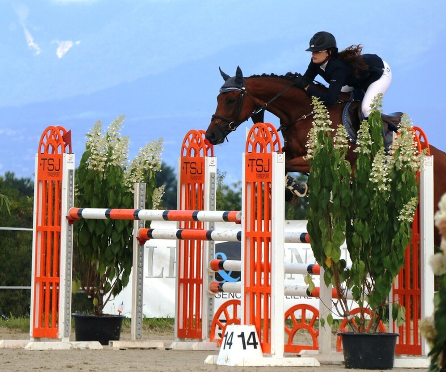 Description de l'image