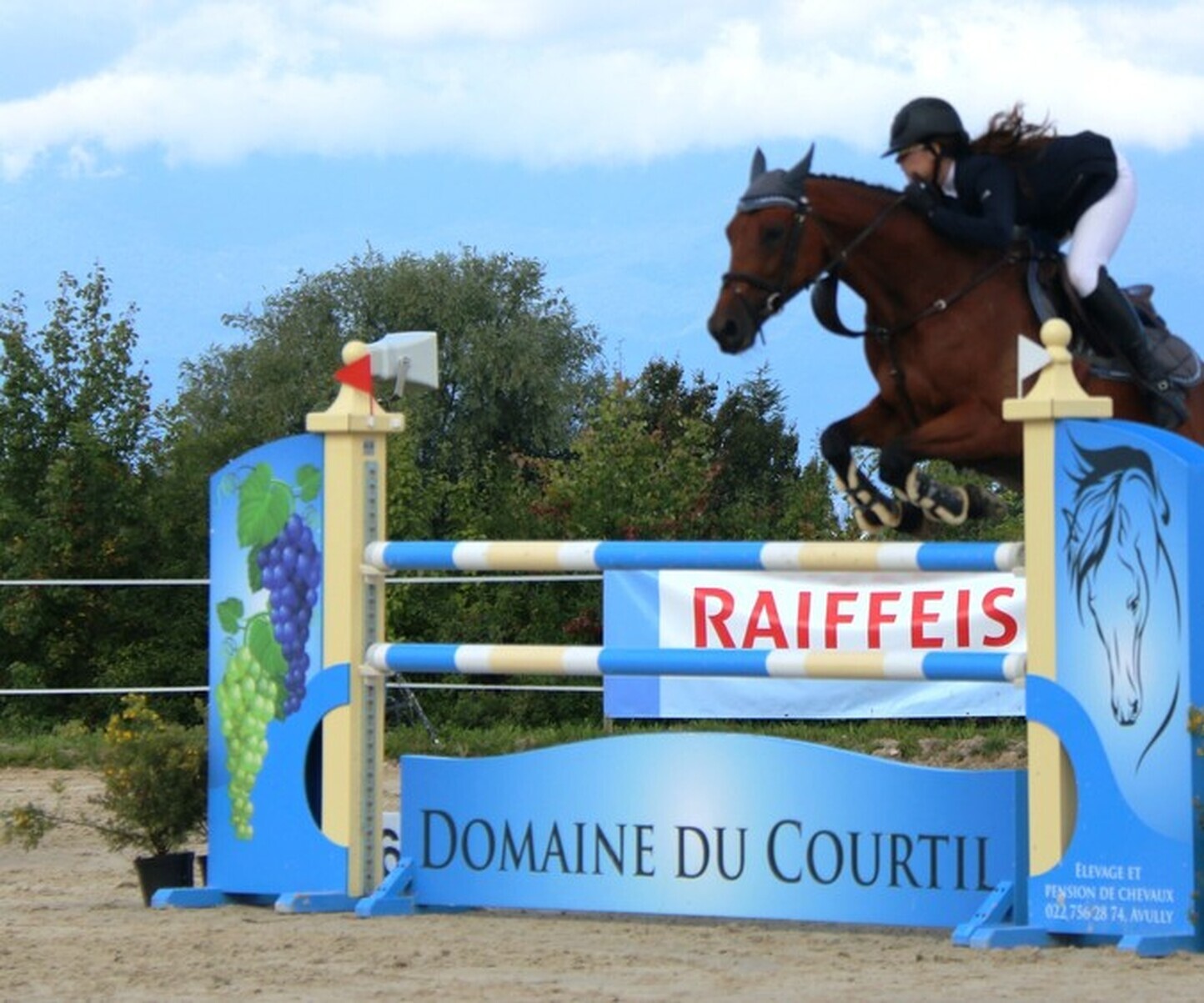 Description de l'image